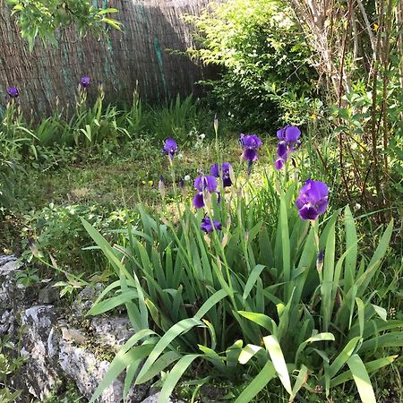 Готель Le Patio Fleuri Лорґ Екстер'єр фото