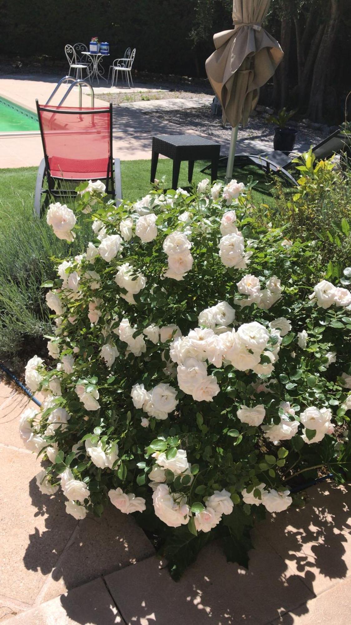 Готель Le Patio Fleuri Лорґ Екстер'єр фото