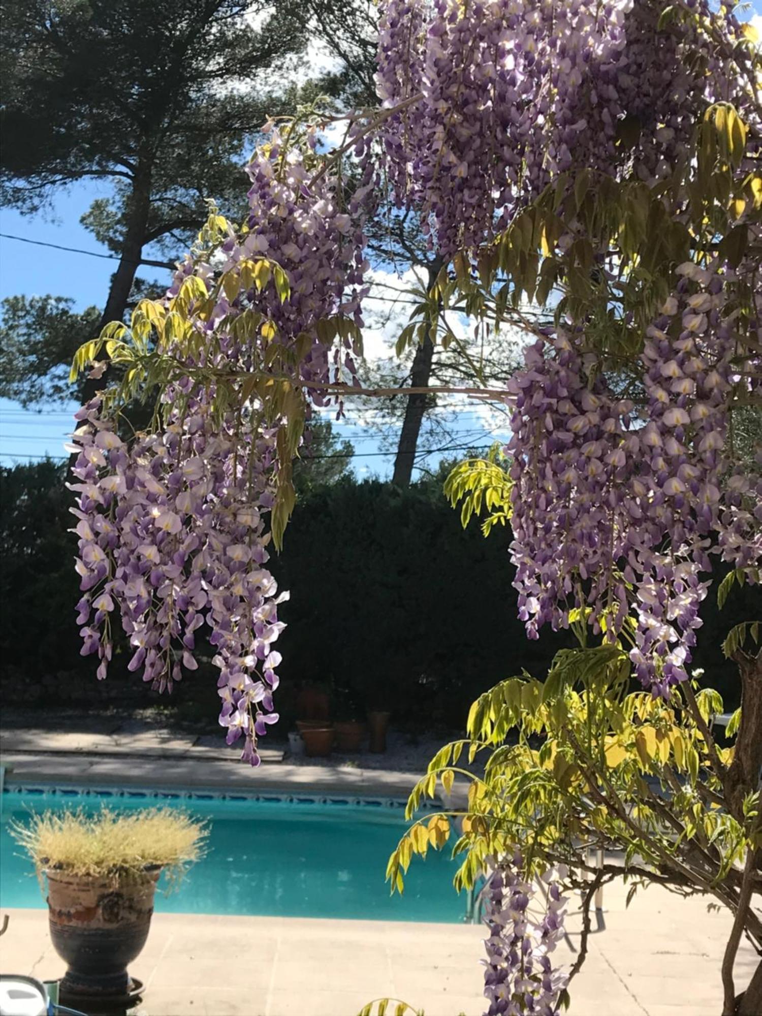 Готель Le Patio Fleuri Лорґ Екстер'єр фото